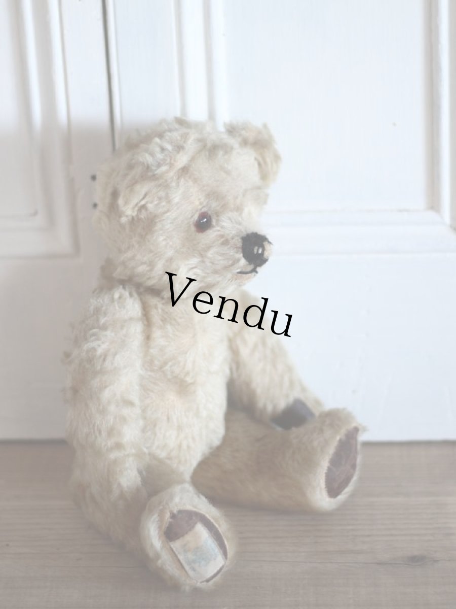 画像7: Cute!!Chad Valley Bear / 13.5in/ British (7)