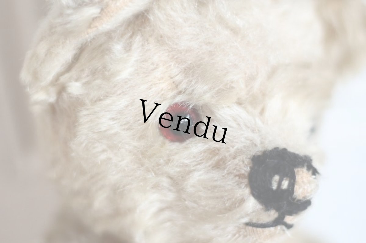 画像3: Cute!!Chad Valley Bear / 13.5in/ British (3)