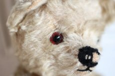 画像3: Cute!!Chad Valley Bear / 13.5in/ British (3)