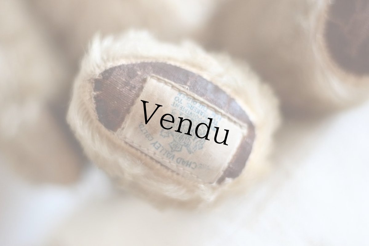 画像10: Cute!!Chad Valley Bear / 13.5in/ British (10)