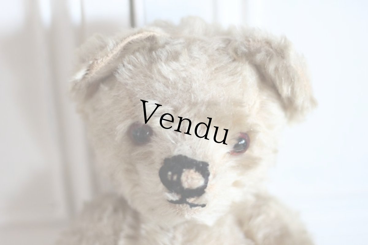 画像2: Cute!!Chad Valley Bear / 13.5in/ British (2)