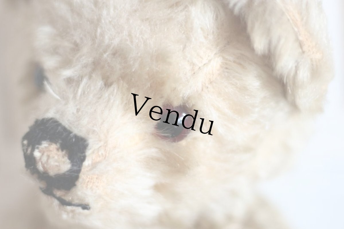 画像4: Cute!!Chad Valley Bear / 13.5in/ British (4)