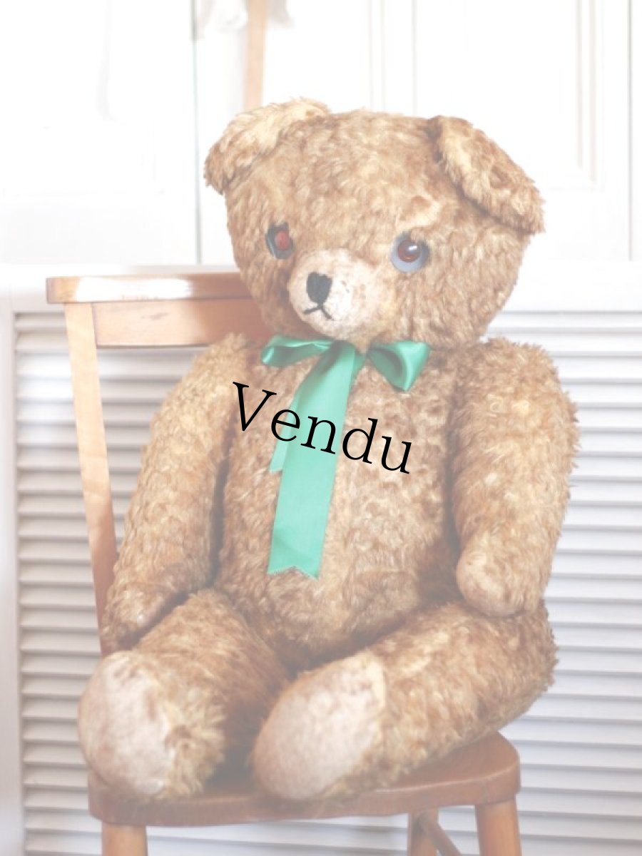 画像12: BIG!! Antique Teddy Bear  (12)