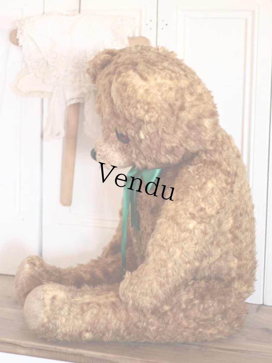 画像10: BIG!! Antique Teddy Bear  (10)