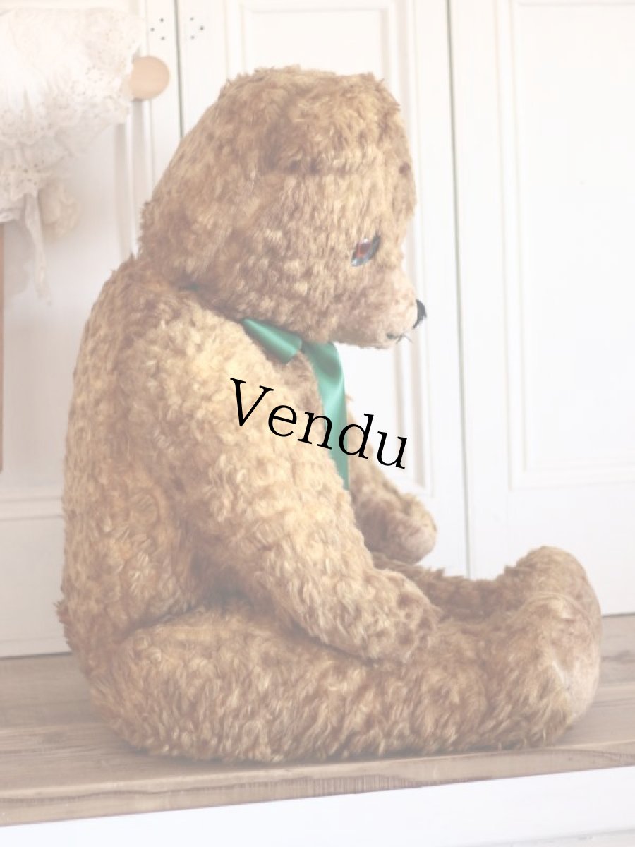 画像9: BIG!! Antique Teddy Bear  (9)