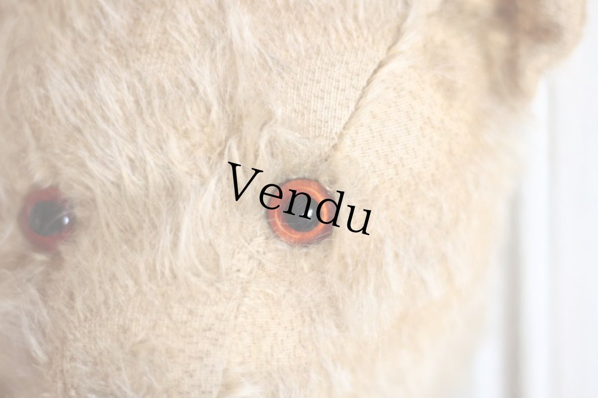 画像6: Cute!! Beige Chiltern /16.5in/ British (6)