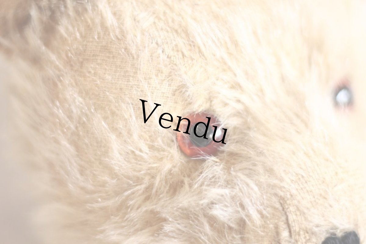 画像5: Cute!! Beige Chiltern /16.5in/ British (5)