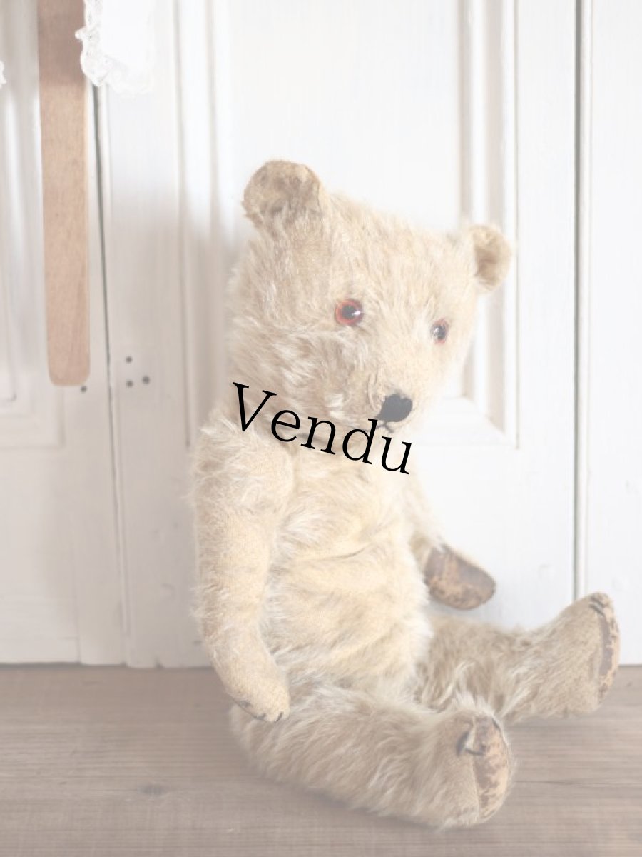 画像9: Cute!! Beige Chiltern /16.5in/ British (9)