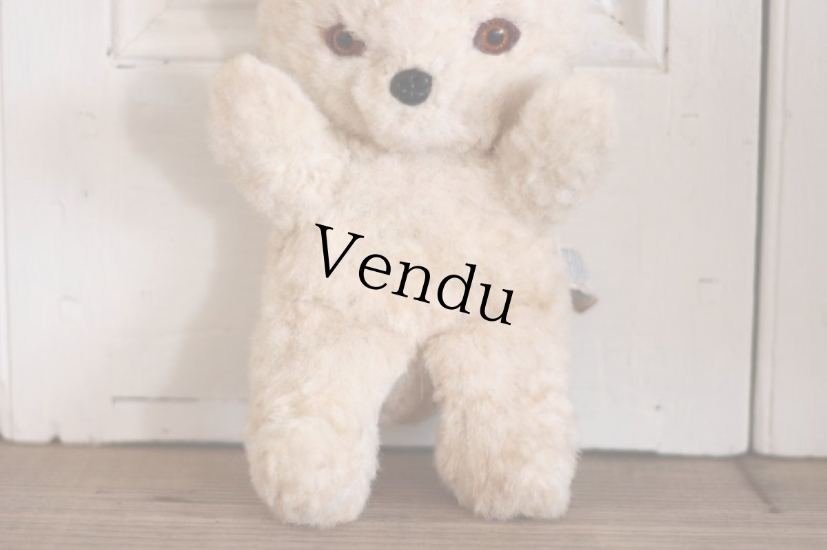 画像5: Knickerbocker TEDDY KUDDLES (5)