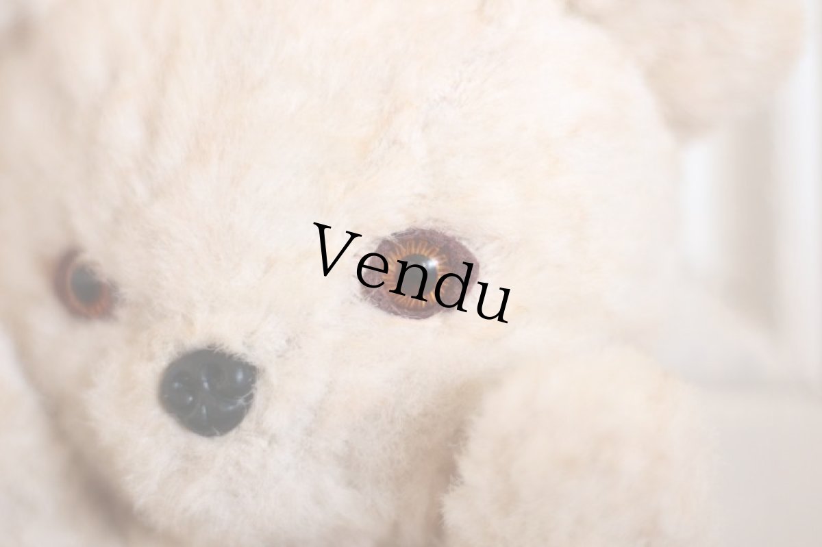 画像3: Knickerbocker TEDDY KUDDLES (3)