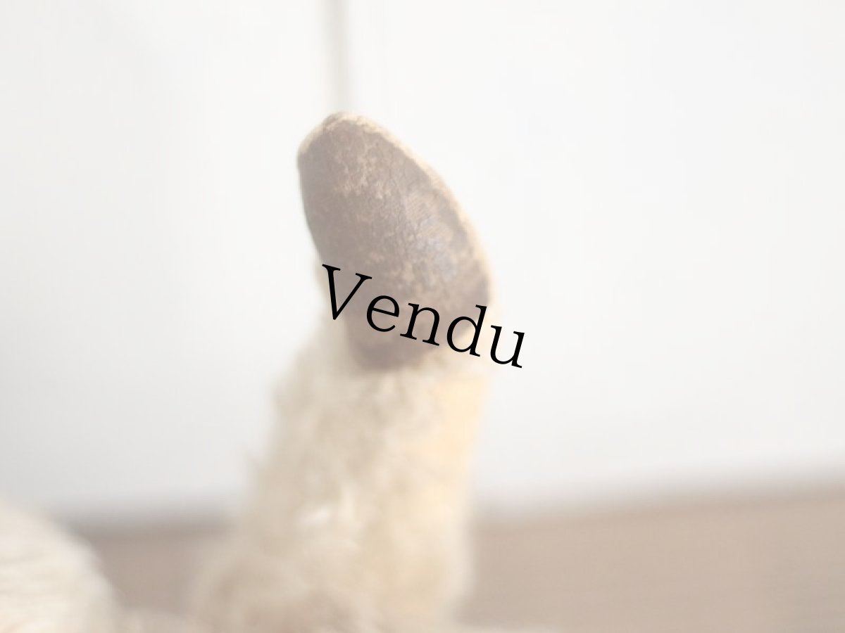 画像11: Antique Chiltern /14in/ British (11)