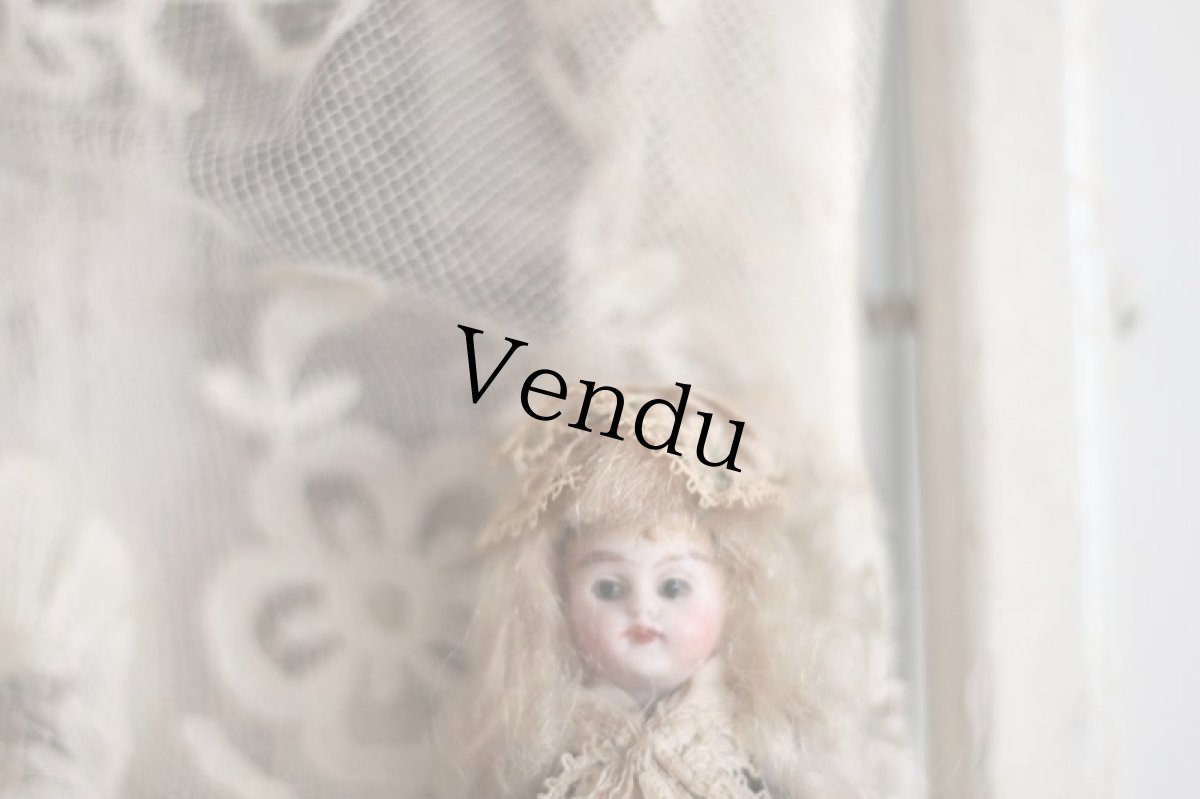 画像2: 小さな小さなミニョネット /  3 3/4in (2)