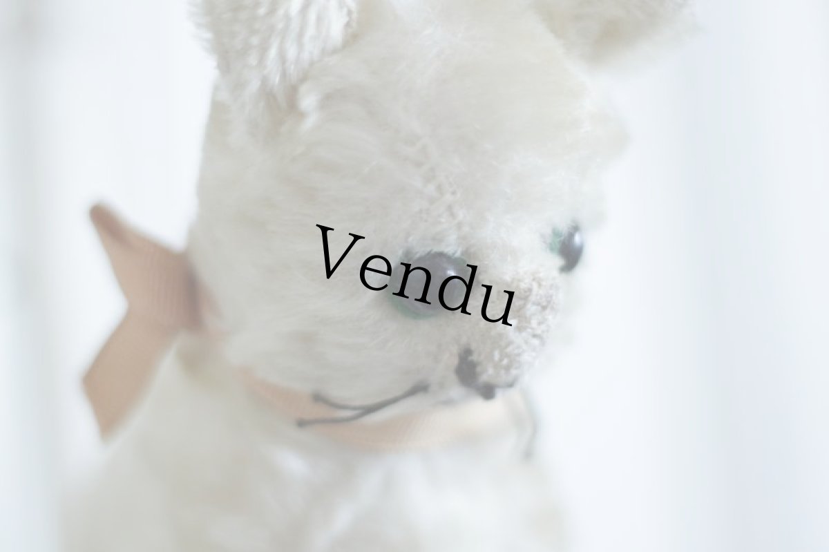 画像4: Antique Cute Cat  (4)