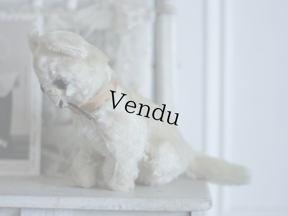 画像5: Antique Cute Cat  (5)