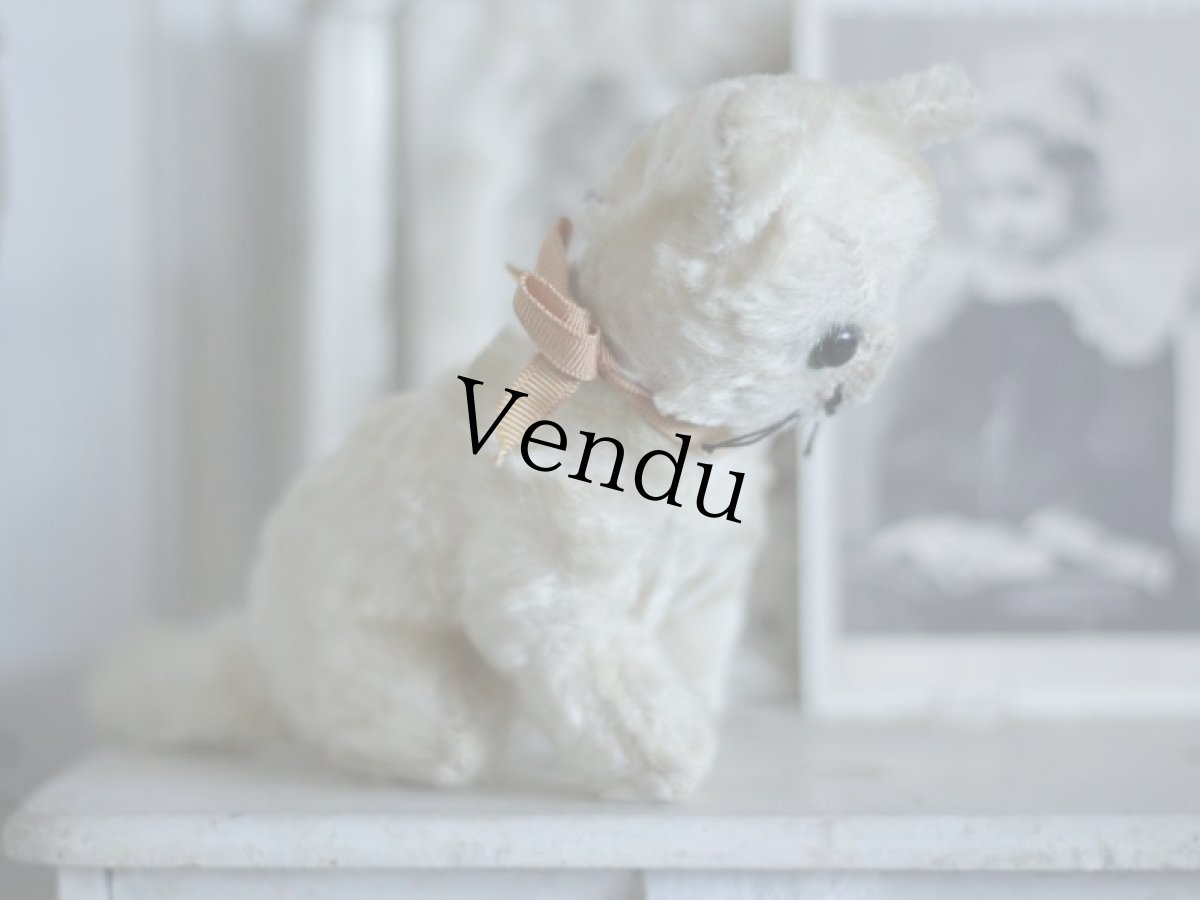 画像6: Antique Cute Cat  (6)