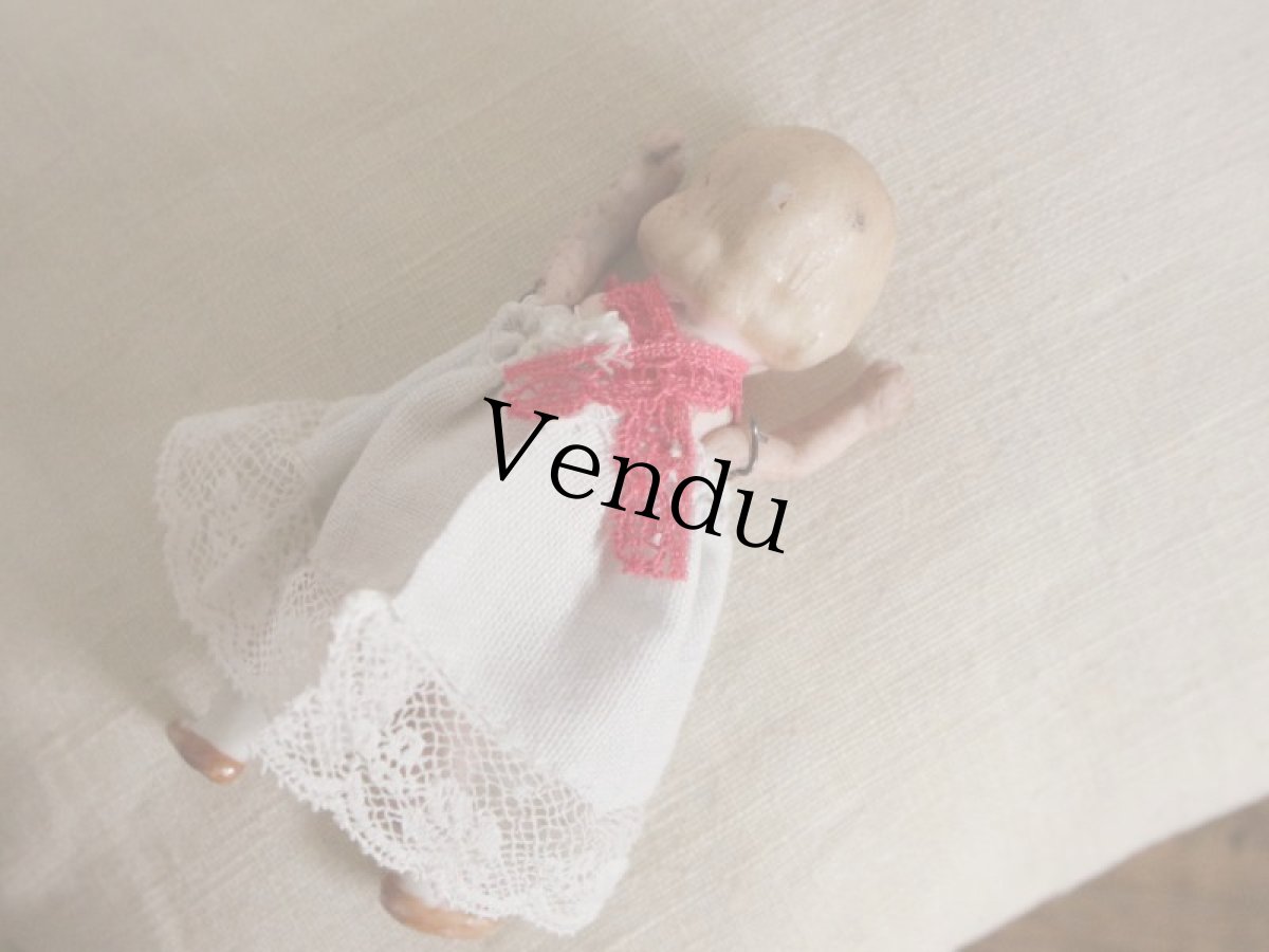 画像6: Hertwig&Co. ブルーリボンのミニョネット//3 1/4in (6)