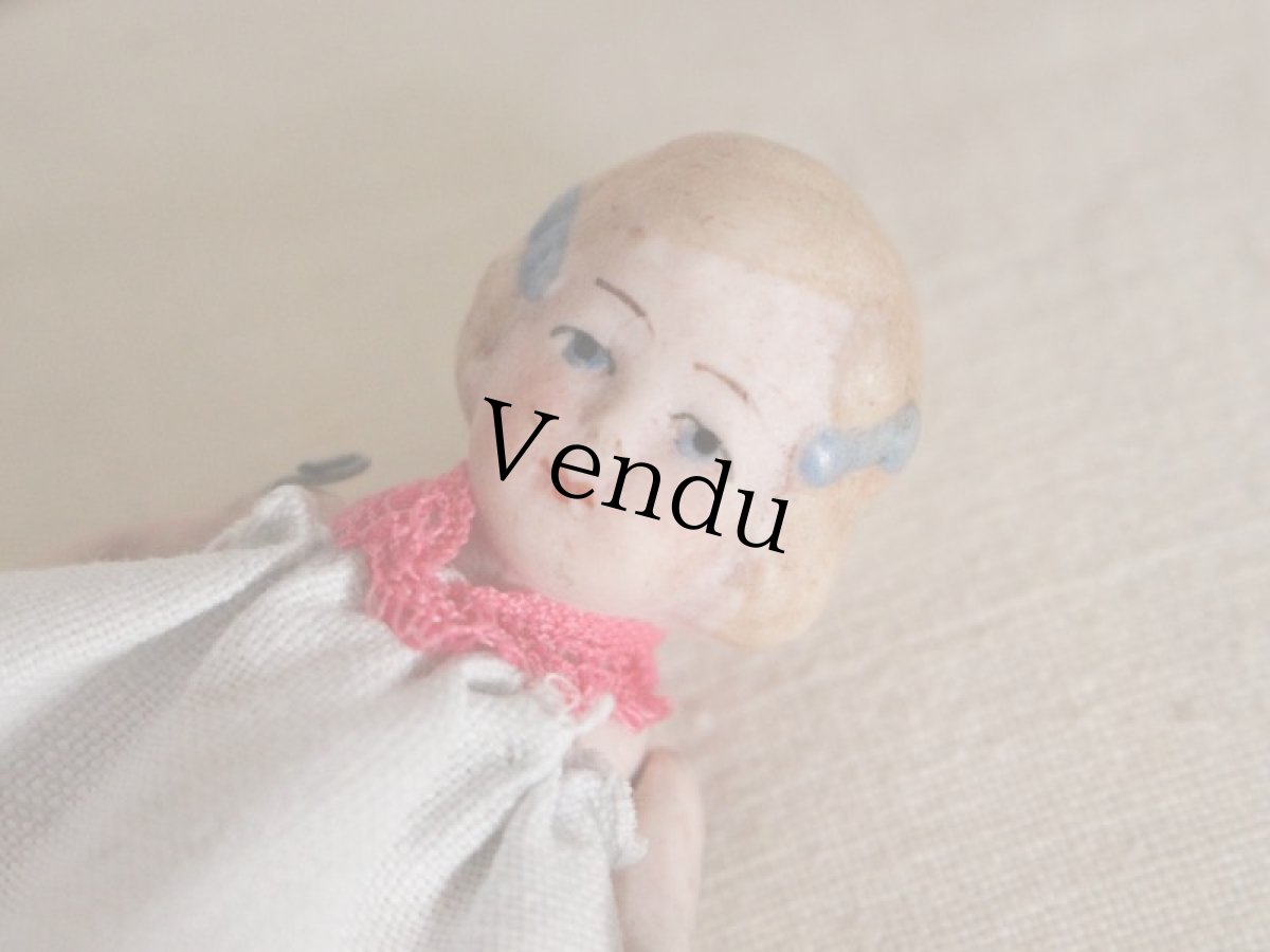 画像7: Hertwig&Co. ブルーリボンのミニョネット//3 1/4in (7)