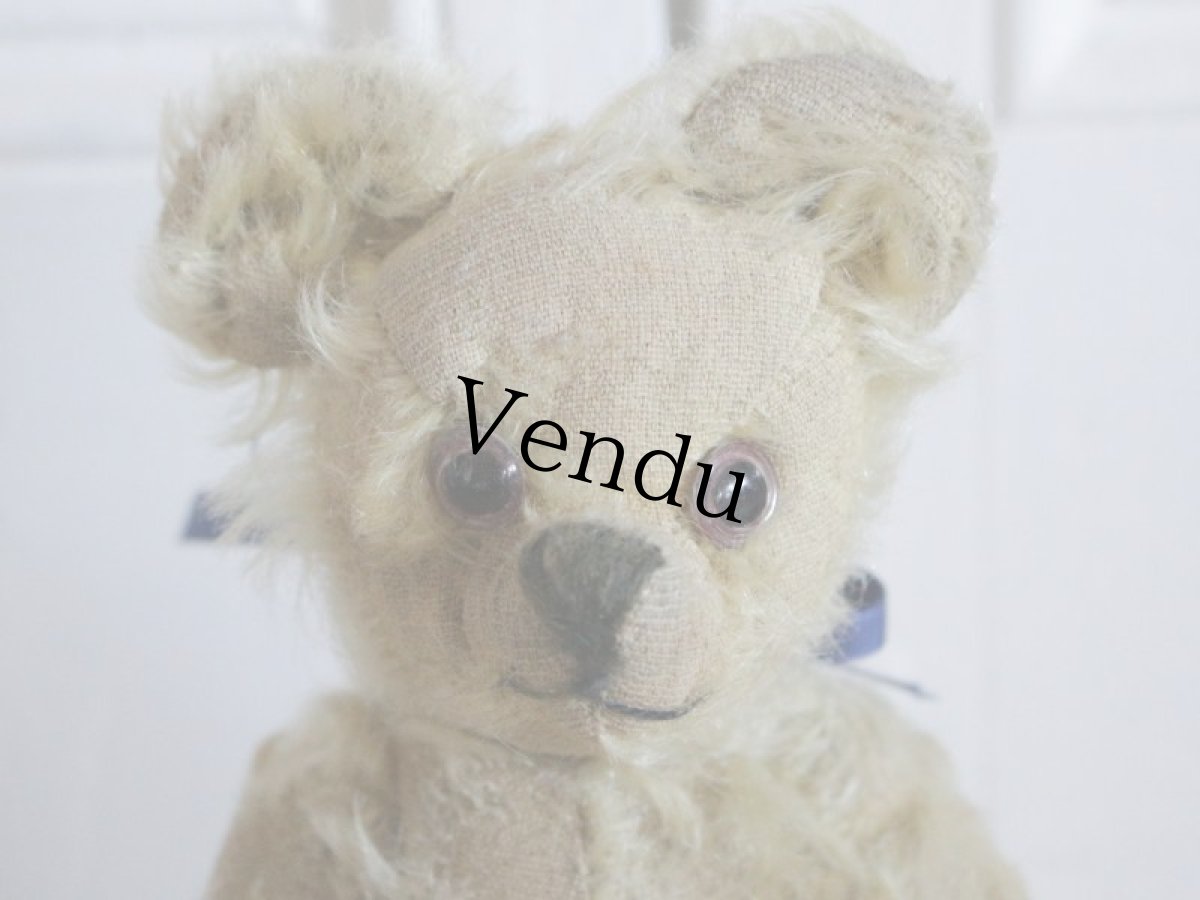画像2: Antique Bear // 9 1/2in // British (2)