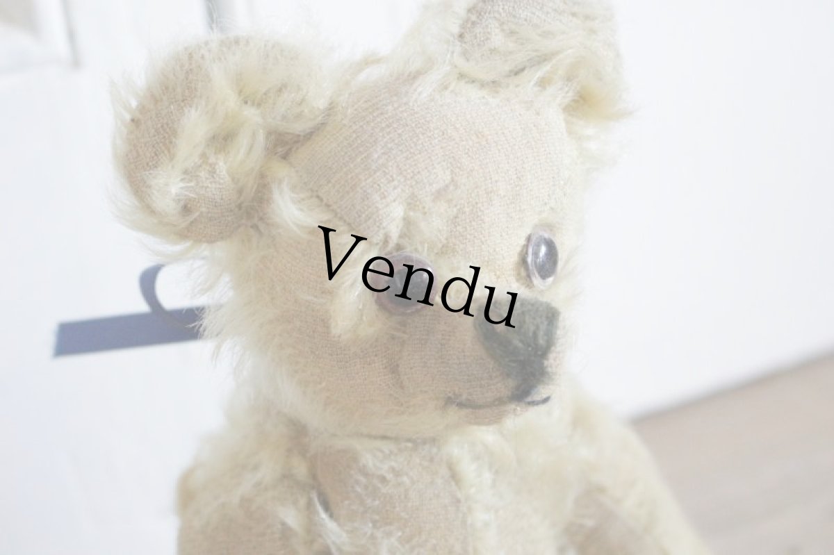 画像7: Antique Bear // 9 1/2in // British (7)