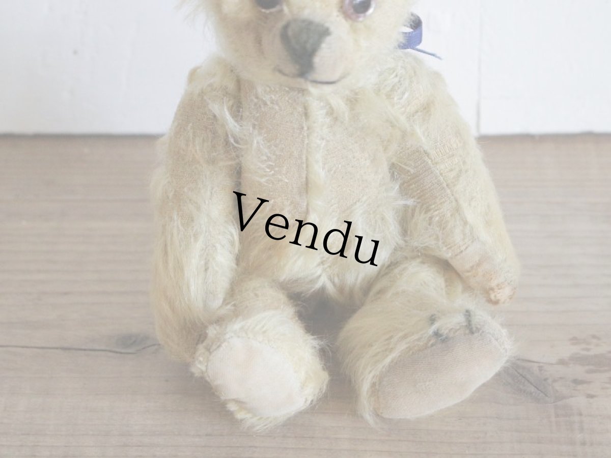 画像6: Antique Bear // 9 1/2in // British (6)