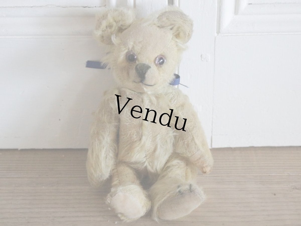 画像9: Antique Bear // 9 1/2in // British (9)