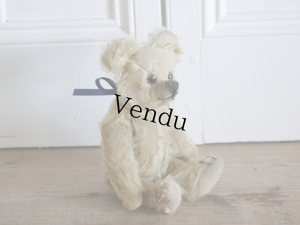 画像3: Antique Bear // 9 1/2in // British (3)