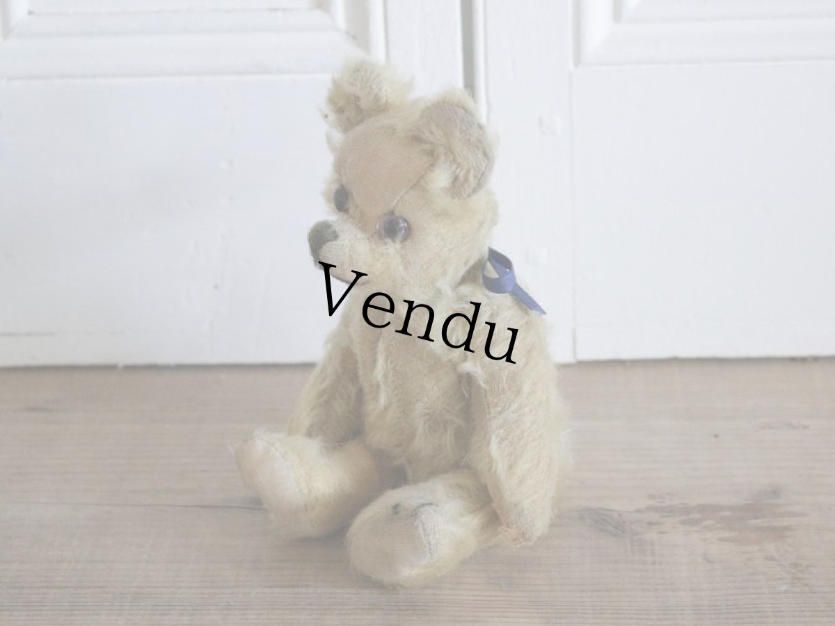 画像4: Antique Bear // 9 1/2in // British (4)
