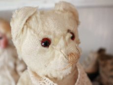 画像4: Antique White Bear (4)