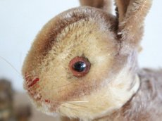 画像2: RARE!!Antique Steiff Hase / US ZONE (2)