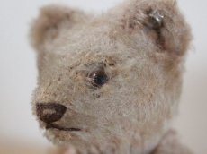 画像3: RARE!!Antique Steiff Original Bear / US ZONE (3)