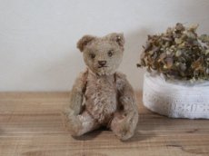 画像1: RARE!!Antique Steiff Original Bear / US ZONE (1)