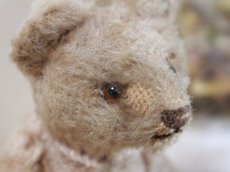 画像4: RARE!!Antique Steiff Original Bear / US ZONE (4)