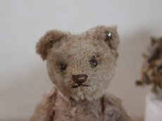 画像2: RARE!!Antique Steiff Original Bear / US ZONE (2)