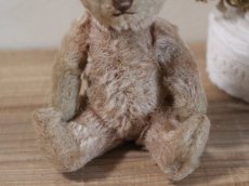 画像6: RARE!!Antique Steiff Original Bear / US ZONE (6)