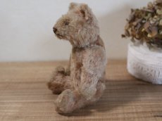 画像7: RARE!!Antique Steiff Original Bear / US ZONE (7)