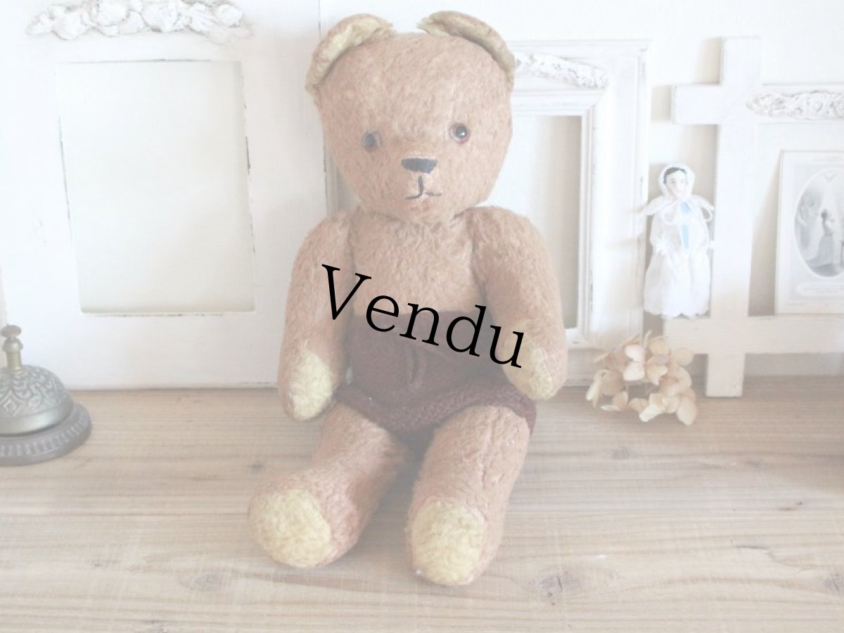 画像1: Antique French Bear/15in/France (1)