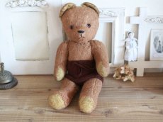 画像1: Antique French Bear/15in/France (1)