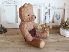 画像8: Antique French Bear/15in/France (8)