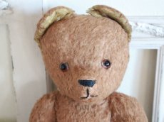 画像2: Antique French Bear/15in/France (2)