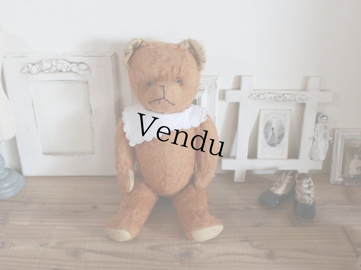 画像1: Antique French Bear/17 1/2in/France (1)