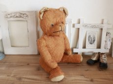 画像10: Antique French Bear/17 1/2in/France (10)