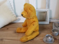 画像10: Antique French Bear/12 1/2in/France (10)