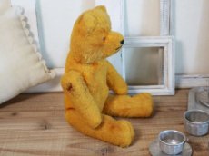 画像8: Antique French Bear/12 1/2in/France (8)