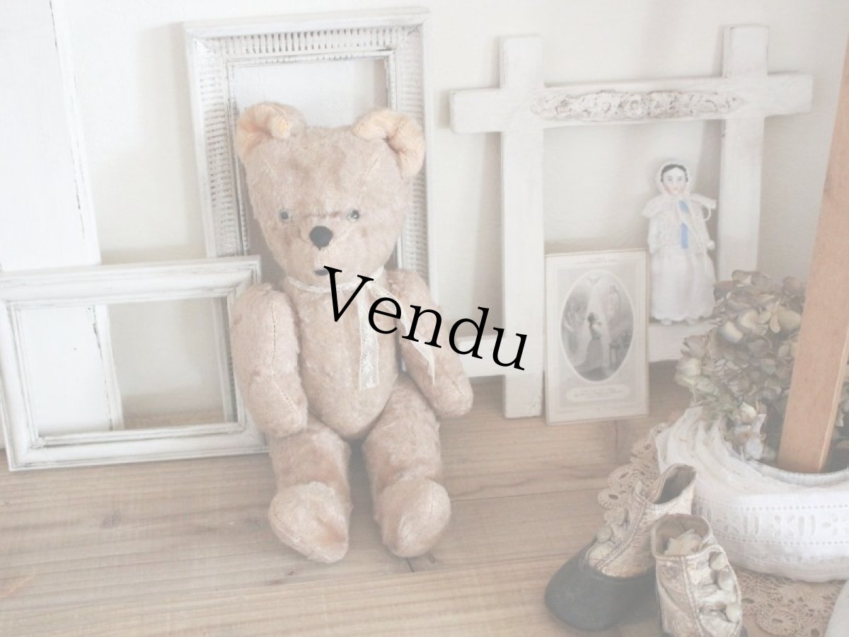 画像1: Antique French Bear/12in/France (1)