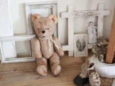 画像1: Antique French Bear/12in/France (1)