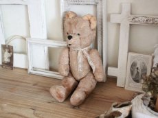 画像4: Antique French Bear/12in/France (4)