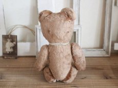 画像5: Antique French Bear/12in/France (5)