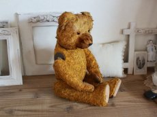 画像5: Antique Shabby Old Bear/18 1/2in/France (5)