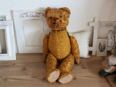 画像10: Antique Shabby Old Bear/18 1/2in/France (10)