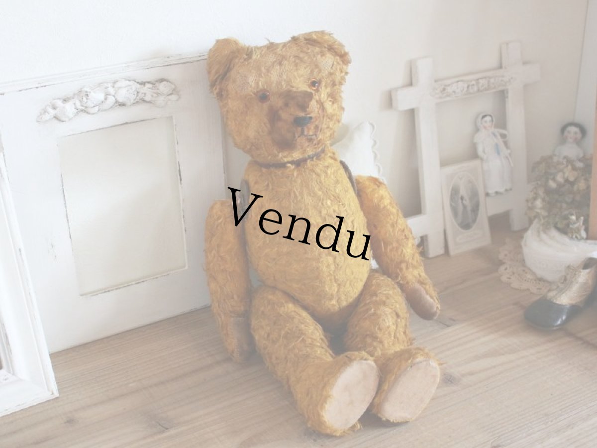 画像1: Antique Shabby Old Bear/18 1/2in/France (1)